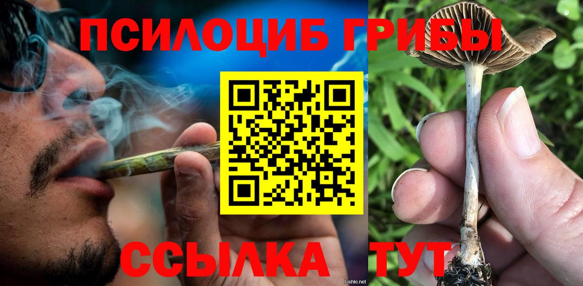 Псилоцибиновые грибы мицелий Тамбов