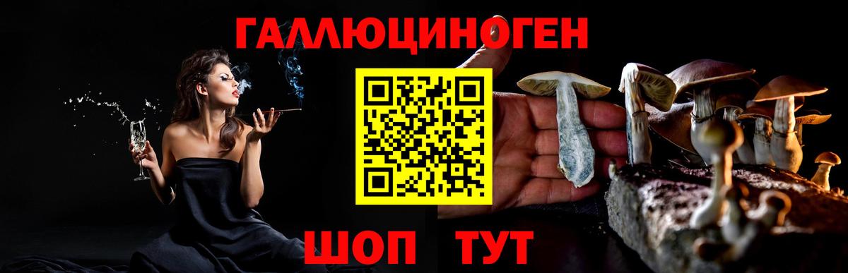 Псилоцибиновые грибы Psilocybe  Псилоцибиновые грибы ЛСД  Вход с VPN  Тамбов 
