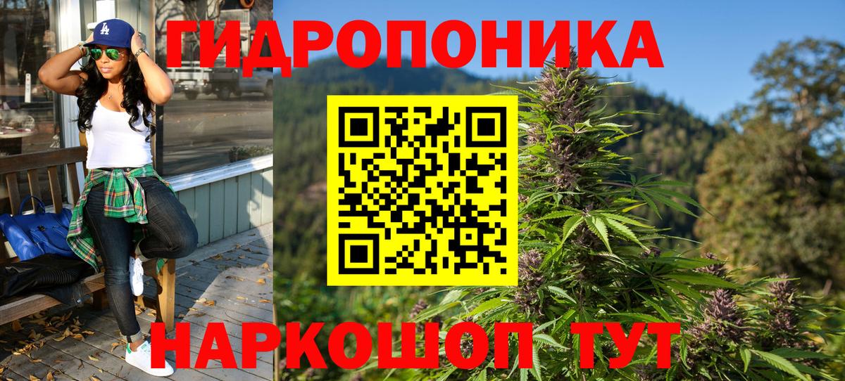 Канабис SATIVA & INDICA  Шишки марихуана OG Kush  Вход с VPN  Конопля AK-47  Тамбов  МАРИХУАНА конопля 